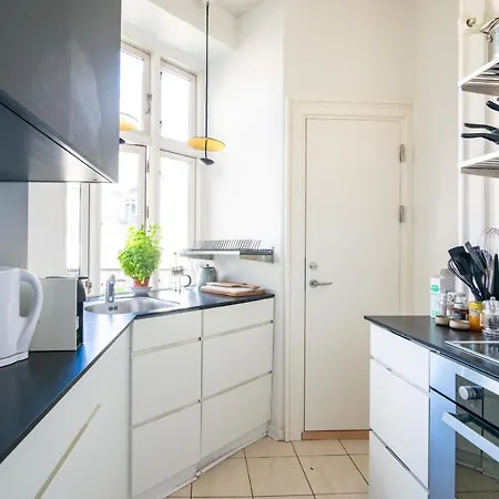 Aday - Authentic Flat In Inner * 哥本哈根